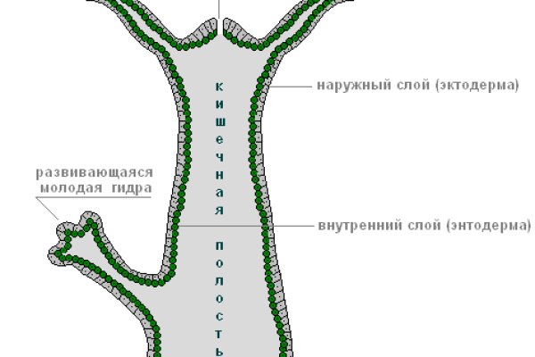 Зеркало кракен kr2web in