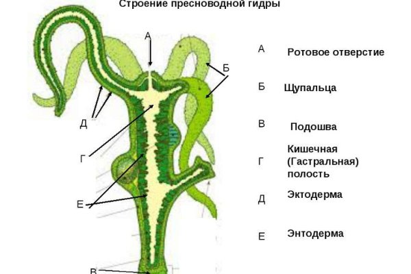 Кракен наркоторговля