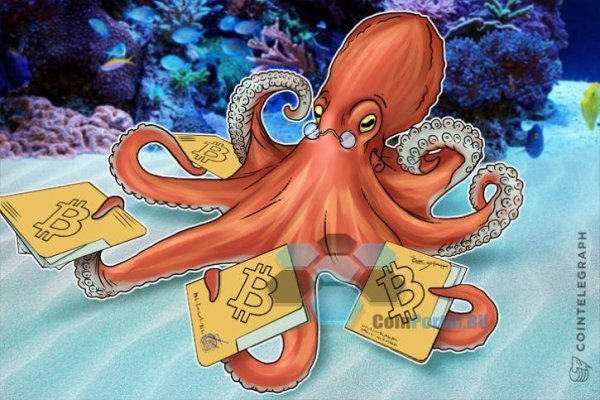 Kraken актуальное