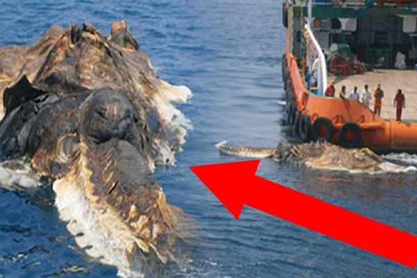 Кракен ссылка kraken