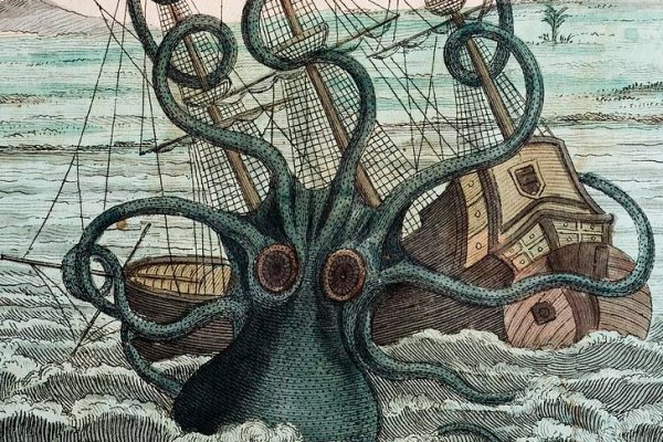 Kraken url